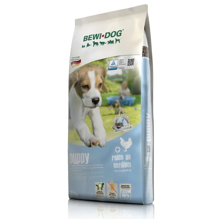 Bewi-Dog-Puppy.webp