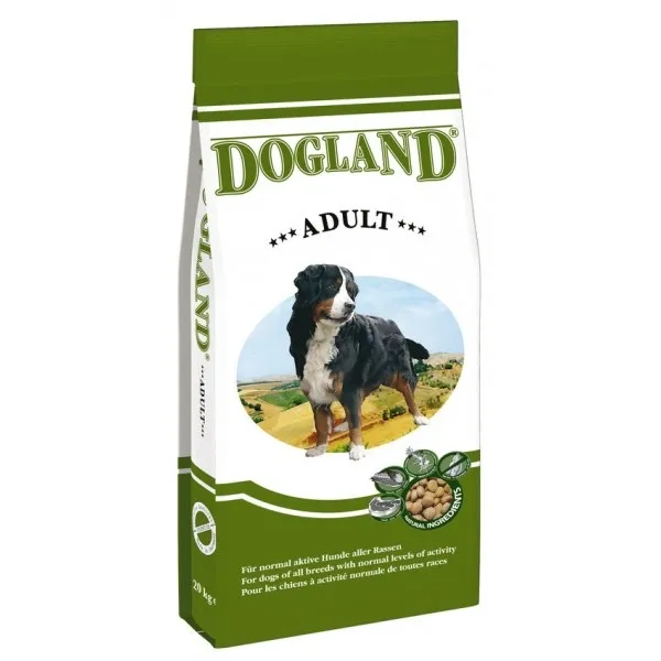 Dogland-Adult.webp