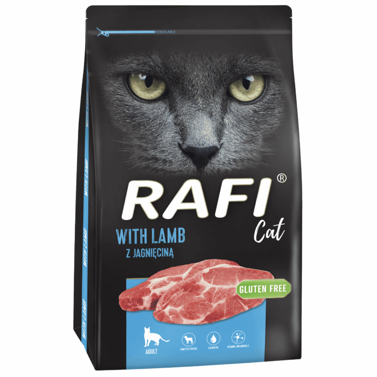 Rafi Cat with LAMB
