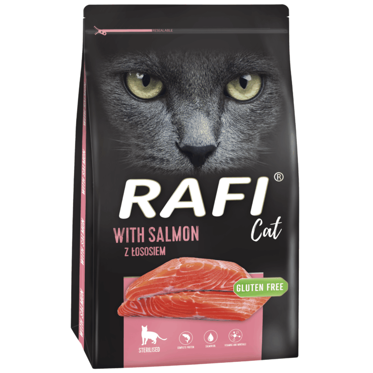 Rafi Cat with SALMON
