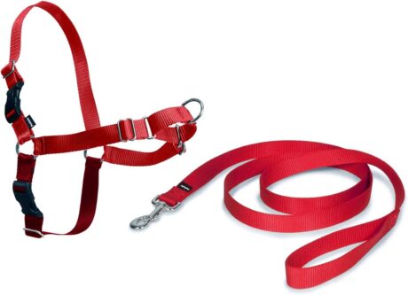 CROCI шлейка EASY WALK RED