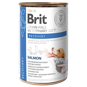 brit-gf-veterinary-diets-recovery-0-400-gr-conserva-2534-3022.webp