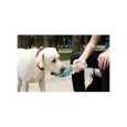 dispenser-di-acqua-con-borraccia-da-400-ml-1.jpg.webp