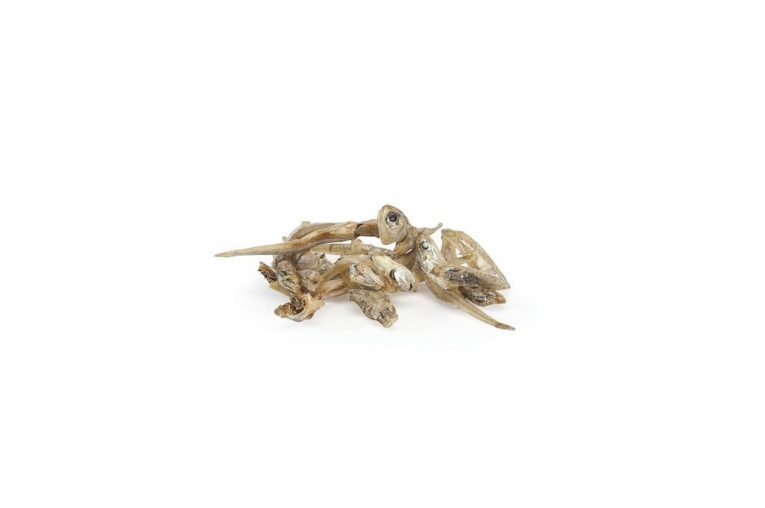 dried-anchovies-30g-jar-image_67cf823a1c922_1280x1280