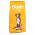 gosbi005-500x500-1