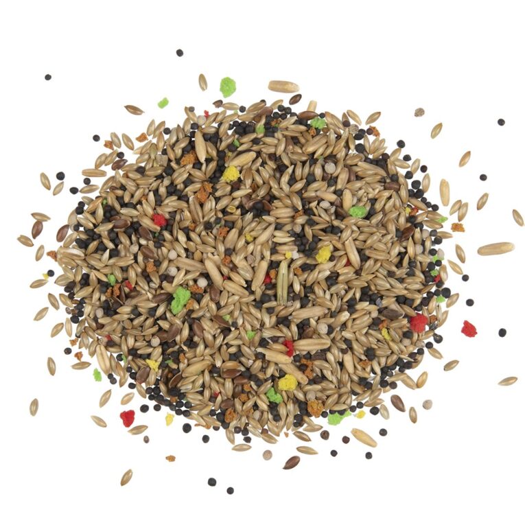 0-02-05-c4e93d32984b27681788705b46b442ce2660a8f4b92978d7f1600748cc136d48_27bd495fec0