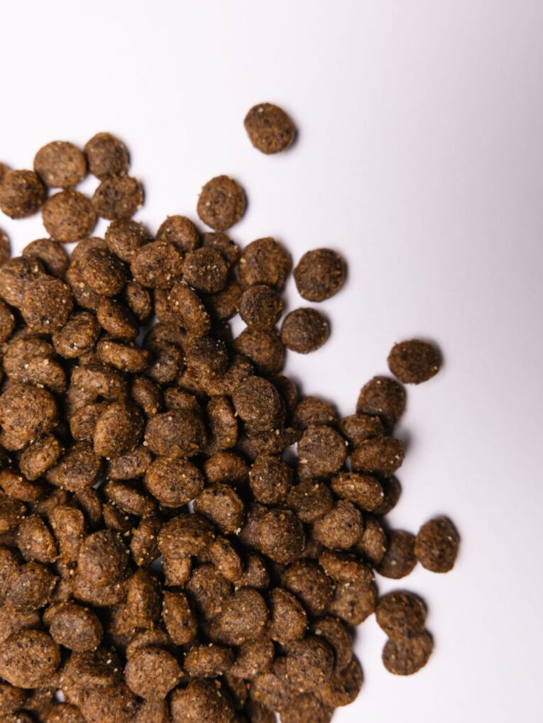 sukhij-korm-savory-small-dlya-sobak-malikh-porid-zi-svizhim-yagnyam-ta-indichkoyu-1-kg-14-scaled.jpg.pagespeed.ce_.oPr19i7ynD