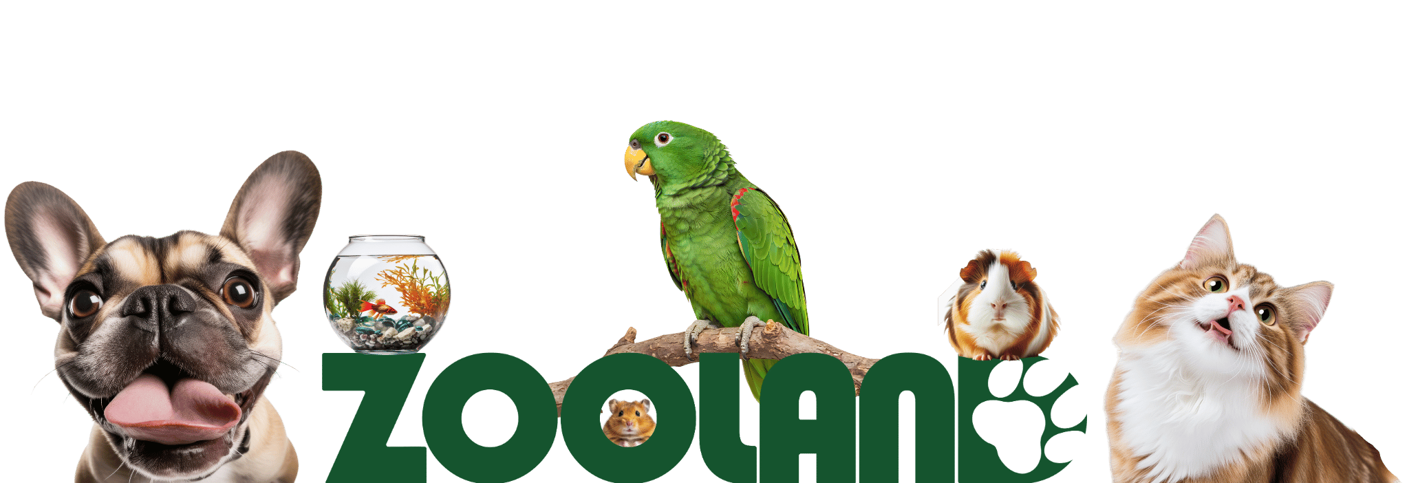 Главная - ZooLand Moldova