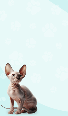 Baner New Items