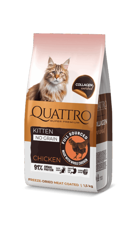 QUATTRO NO GRAIN dry food for kittens, сухой корм с курицей для котят