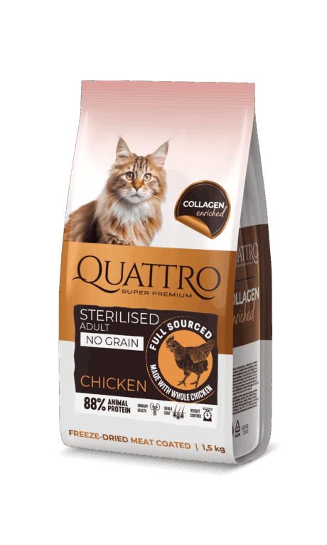QUATTRO NO GRAIN dry food for adult sterilised cats with chicken, сухой корм с курицей для стерилизованных кошек