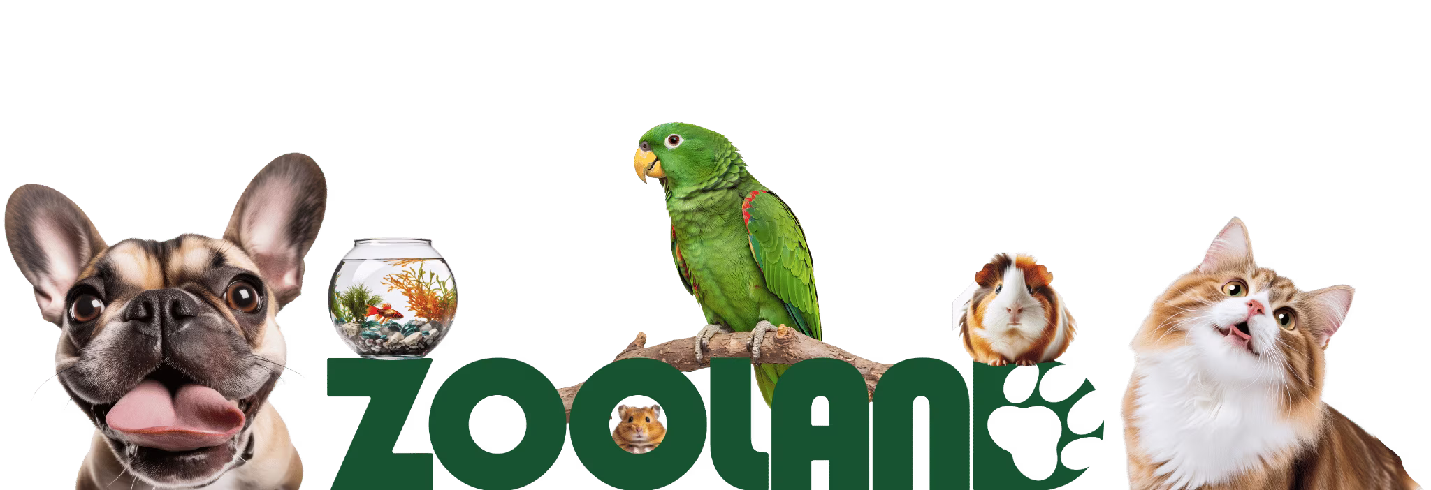 Principala - ZooLand Moldova